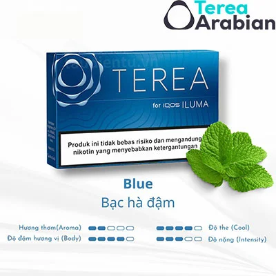 Terea Sticks vs Traditional Cigarettes