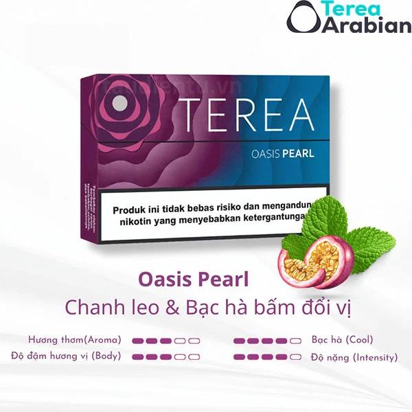 How to Use IQOS Terea Sticks Dubai