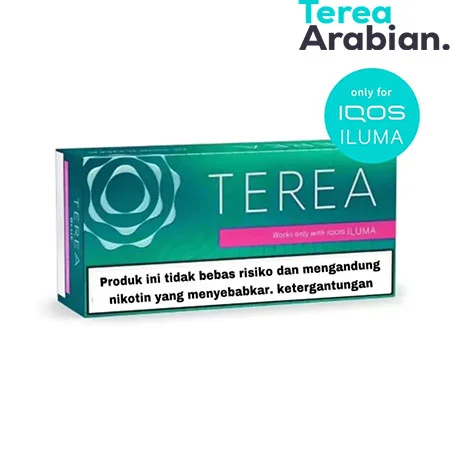 IQOS TEREA Indonesian vs Uzbekistan Dubai